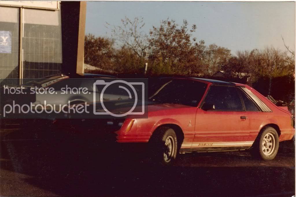 scan0019.jpg