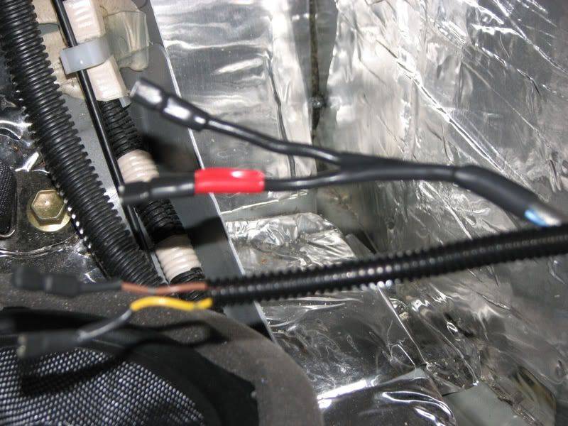 SciontC_rearcavity006.jpg