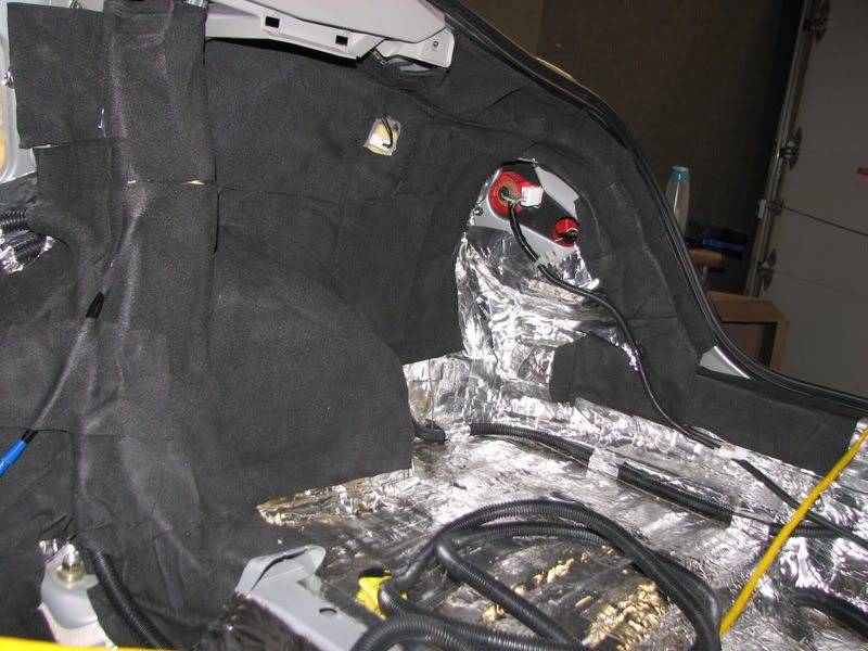 SciontC_rearcavity030.jpg