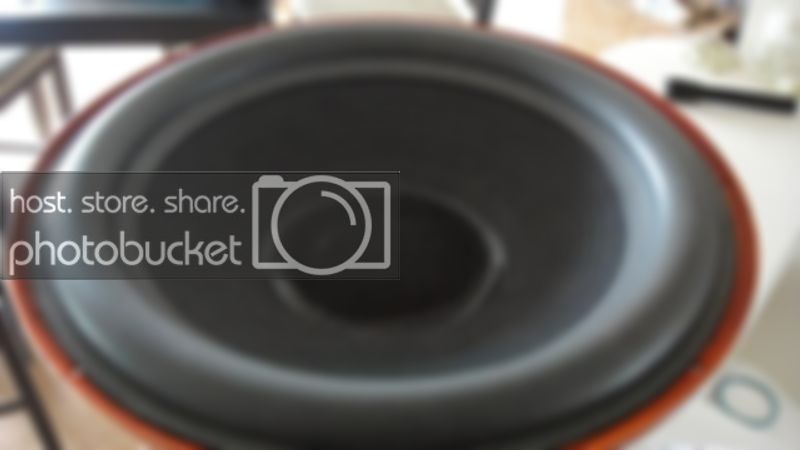 DSC01832.jpg