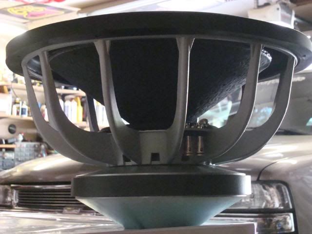 DSC02874.jpg