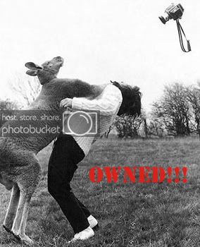 kangaroocopy.jpg