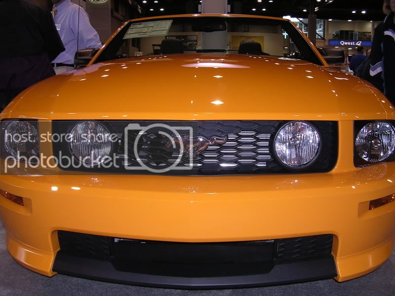 DSCN2503.jpg