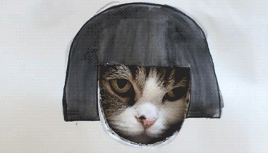 tumblr_lhnbg21az91qa7ueyo1_400.gif
