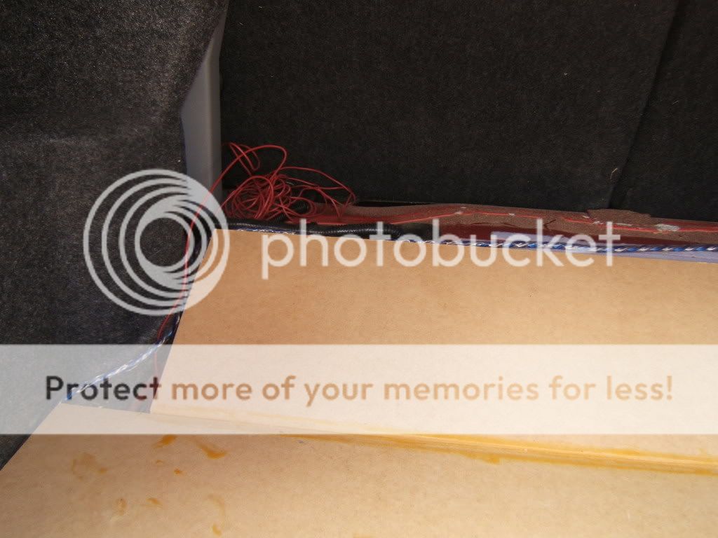 DSCF1781.jpg