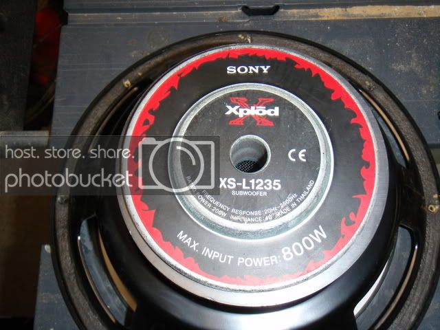 PA290299.jpg