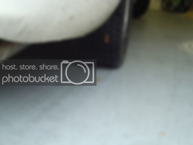DSC00091.jpg