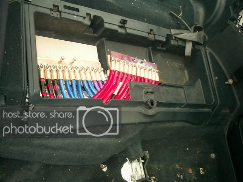 S4020701Medium.jpg
