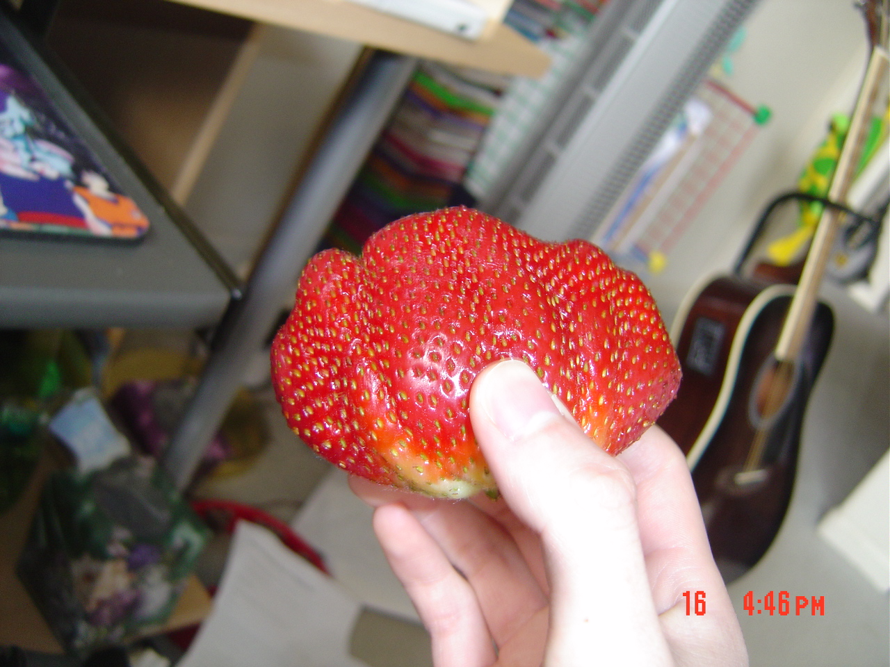 dsc00052.jpg