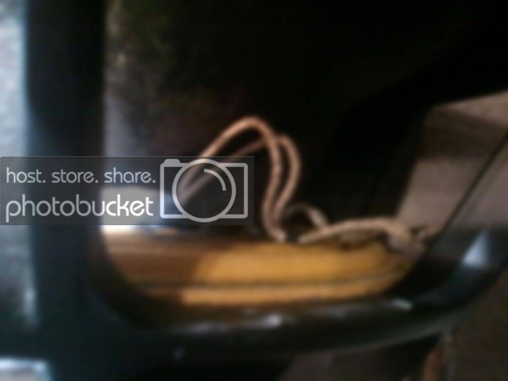 2011-04-24225431.jpg