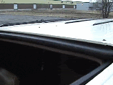 flexxin2.gif