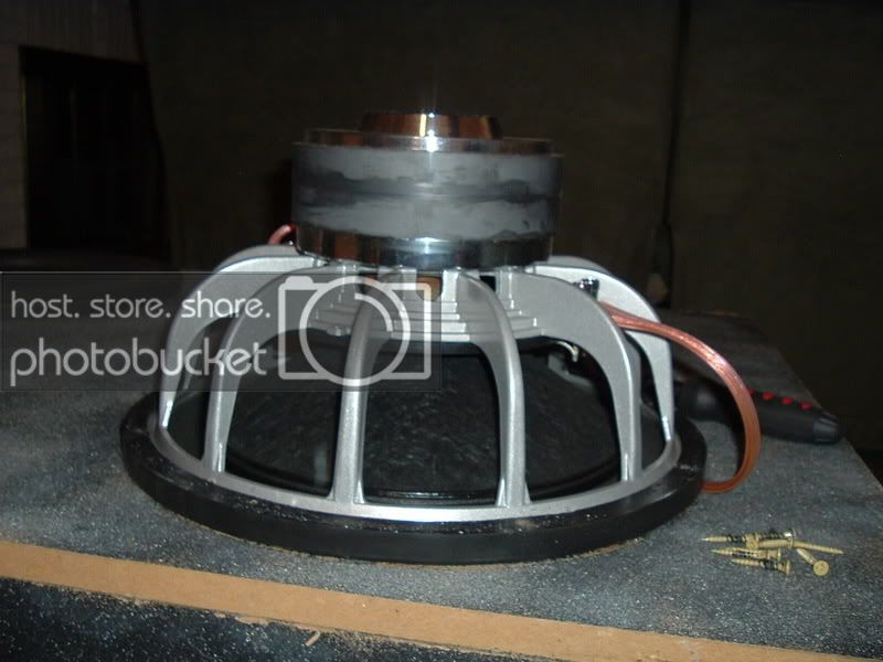 americanbass006.jpg