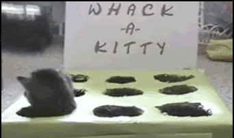 89385_whackakitty.gif