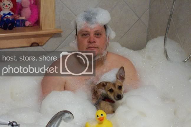 menthedog.jpg