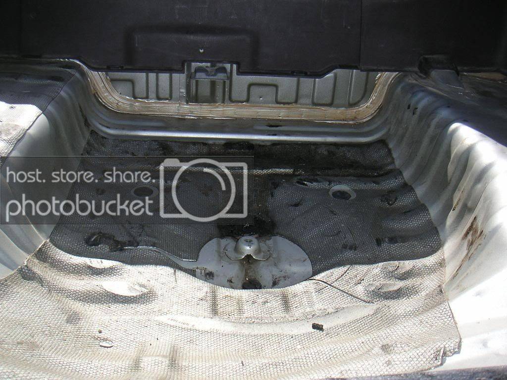 Trunk005b.jpg