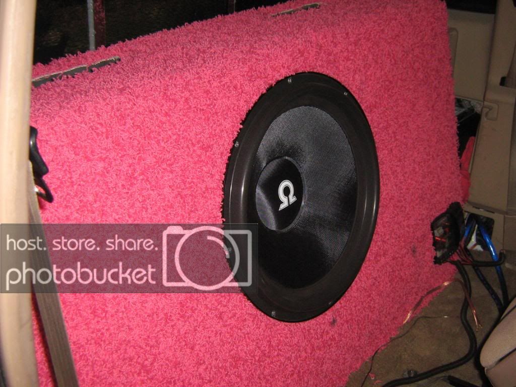 youonlywishyouhadpinkshag001-1.jpg