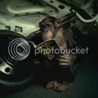 thumb_TrunkMonkey5_high.jpg