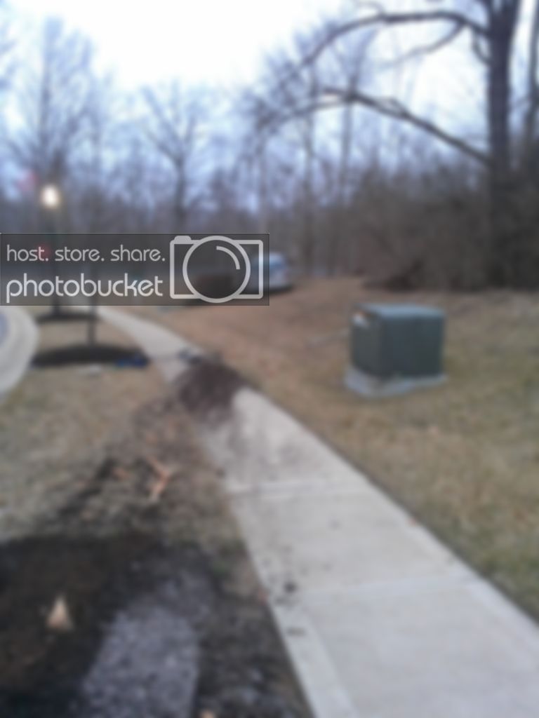 IMG_20130317_075841_zps4c94b270.jpg
