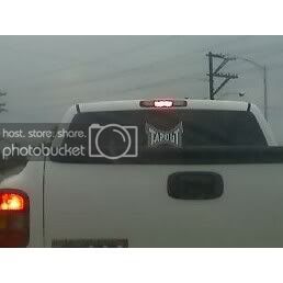 TapoutWhiteChevy.jpg