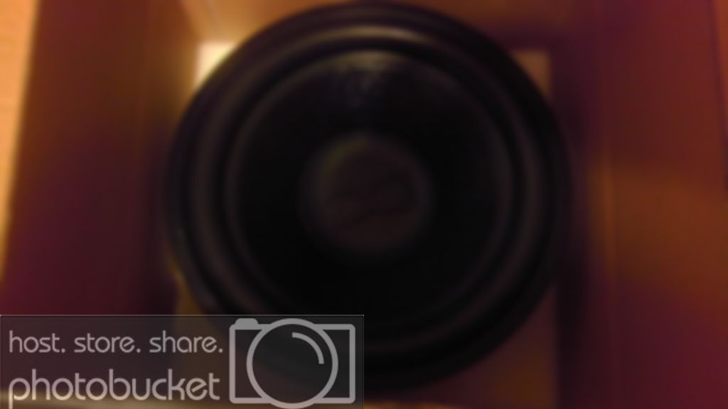 IMAG0053.jpg