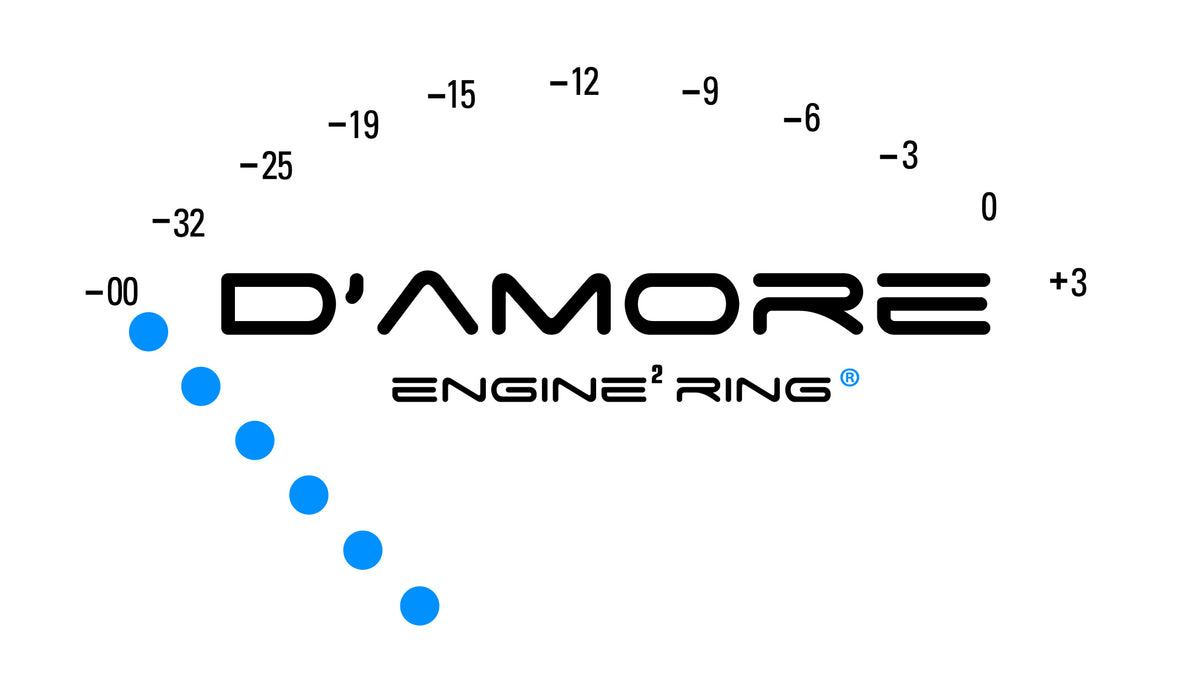 damore-engineering.myshopify.com