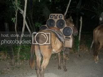 donkey-speakers.jpg
